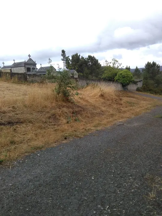 <p>O cami&ntilde;o que da acceso ao cemiterio de Currelos presenta un estado deplorable como pode apreciarse nas<br />
fotografias que acompa&ntilde;an esta solicitude.<br />
Ademais dos baches, xusto na entrada do mesmo hai restos de lixo e cascallos que impactan negativamente<br />
no entorno.<br />
Por todo iso, o Grupo do BNG, solicita:<br />
1. Que se proceda ao arranxo de dito cami&ntilde;o coa maior brevidade posible.<br />
2. Que se proceda &aacute; retirada e traslado do lixo e cascallos que hai no entorno da entrada ao<br />
cemiterio</p>

