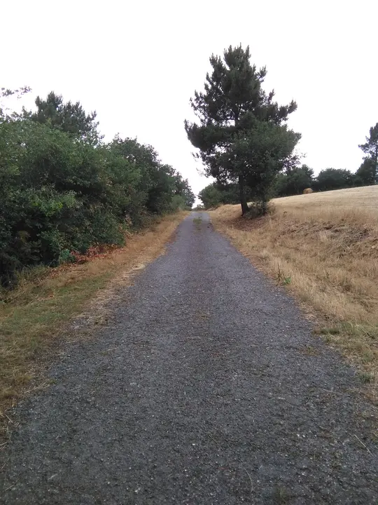 <p>O cami&ntilde;o que da acceso ao cemiterio de Currelos presenta un estado deplorable como pode apreciarse nas<br />
fotografias que acompa&ntilde;an esta solicitude.<br />
Ademais dos baches, xusto na entrada do mesmo hai restos de lixo e cascallos que impactan negativamente<br />
no entorno.<br />
Por todo iso, o Grupo do BNG, solicita:<br />
1. Que se proceda ao arranxo de dito cami&ntilde;o coa maior brevidade posible.<br />
2. Que se proceda &aacute; retirada e traslado do lixo e cascallos que hai no entorno da entrada ao<br />
cemiterio</p>
