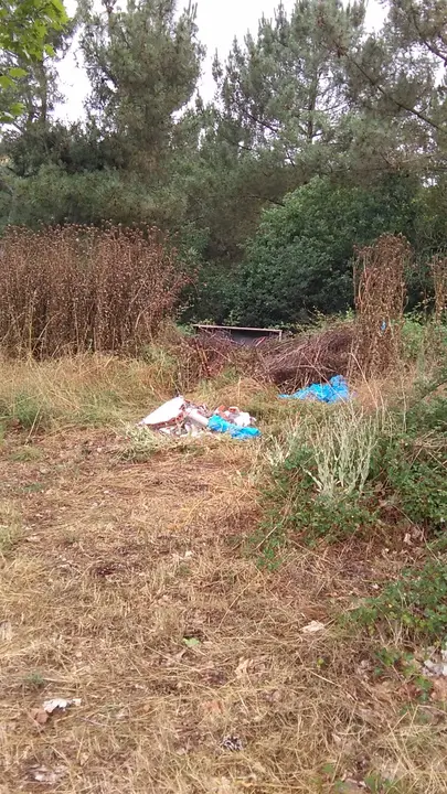 <p>O cami&ntilde;o que da acceso ao cemiterio de Currelos presenta un estado deplorable como pode apreciarse nas<br />
fotografias que acompa&ntilde;an esta solicitude.<br />
Ademais dos baches, xusto na entrada do mesmo hai restos de lixo e cascallos que impactan negativamente<br />
no entorno.<br />
Por todo iso, o Grupo do BNG, solicita:<br />
1. Que se proceda ao arranxo de dito cami&ntilde;o coa maior brevidade posible.<br />
2. Que se proceda &aacute; retirada e traslado do lixo e cascallos que hai no entorno da entrada ao<br />
cemiterio</p>
