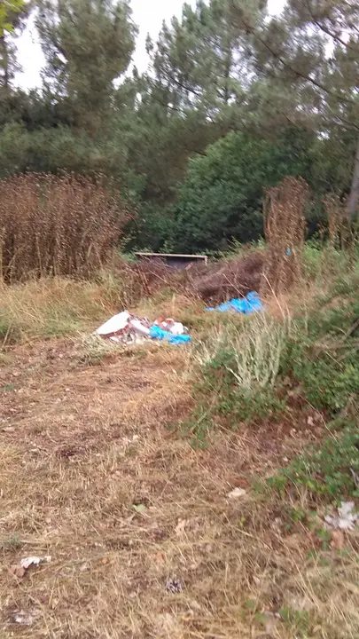 <p>O cami&ntilde;o que da acceso ao cemiterio de Currelos presenta un estado deplorable como pode apreciarse nas<br />
fotografias que acompa&ntilde;an esta solicitude.<br />
Ademais dos baches, xusto na entrada do mesmo hai restos de lixo e cascallos que impactan negativamente<br />
no entorno.<br />
Por todo iso, o Grupo do BNG, solicita:<br />
1. Que se proceda ao arranxo de dito cami&ntilde;o coa maior brevidade posible.<br />
2. Que se proceda &aacute; retirada e traslado do lixo e cascallos que hai no entorno da entrada ao<br />
cemiterio</p>

