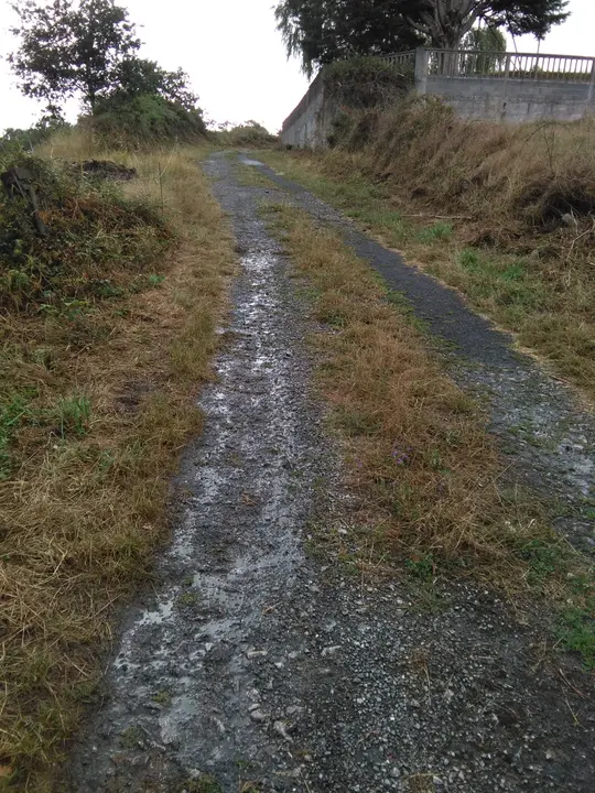<p>O cami&ntilde;o que da acceso ao cemiterio de Currelos presenta un estado deplorable como pode apreciarse nas<br />
fotografias que acompa&ntilde;an esta solicitude.<br />
Ademais dos baches, xusto na entrada do mesmo hai restos de lixo e cascallos que impactan negativamente<br />
no entorno.<br />
Por todo iso, o Grupo do BNG, solicita:<br />
1. Que se proceda ao arranxo de dito cami&ntilde;o coa maior brevidade posible.<br />
2. Que se proceda &aacute; retirada e traslado do lixo e cascallos que hai no entorno da entrada ao<br />
cemiterio</p>

