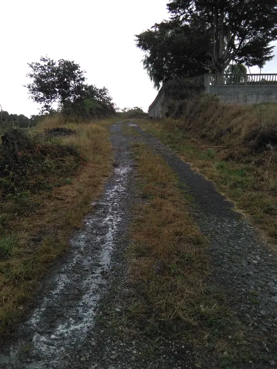 <p>O cami&ntilde;o que da acceso ao cemiterio de Currelos presenta un estado deplorable como pode apreciarse nas<br />
fotografias que acompa&ntilde;an esta solicitude.<br />
Ademais dos baches, xusto na entrada do mesmo hai restos de lixo e cascallos que impactan negativamente<br />
no entorno.<br />
Por todo iso, o Grupo do BNG, solicita:<br />
1. Que se proceda ao arranxo de dito cami&ntilde;o coa maior brevidade posible.<br />
2. Que se proceda &aacute; retirada e traslado do lixo e cascallos que hai no entorno da entrada ao<br />
cemiterio</p>
