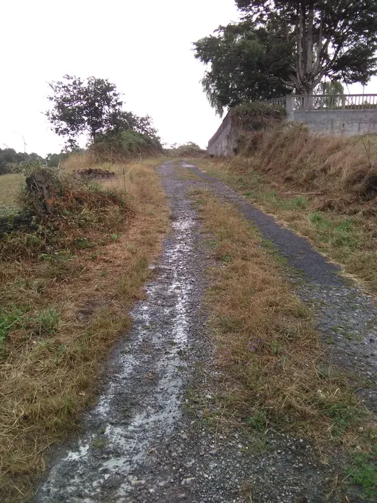 <p>O cami&ntilde;o que da acceso ao cemiterio de Currelos presenta un estado deplorable como pode apreciarse nas<br />
fotografias que acompa&ntilde;an esta solicitude.<br />
Ademais dos baches, xusto na entrada do mesmo hai restos de lixo e cascallos que impactan negativamente<br />
no entorno.<br />
Por todo iso, o Grupo do BNG, solicita:<br />
1. Que se proceda ao arranxo de dito cami&ntilde;o coa maior brevidade posible.<br />
2. Que se proceda &aacute; retirada e traslado do lixo e cascallos que hai no entorno da entrada ao<br />
cemiterio</p>
