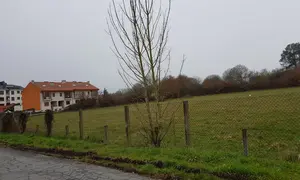 residencia