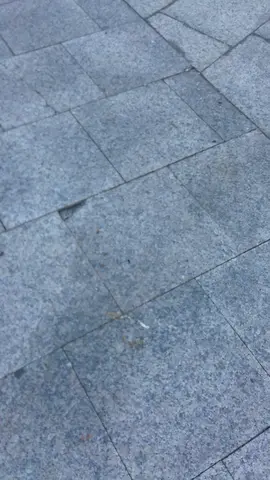 20170817_203716